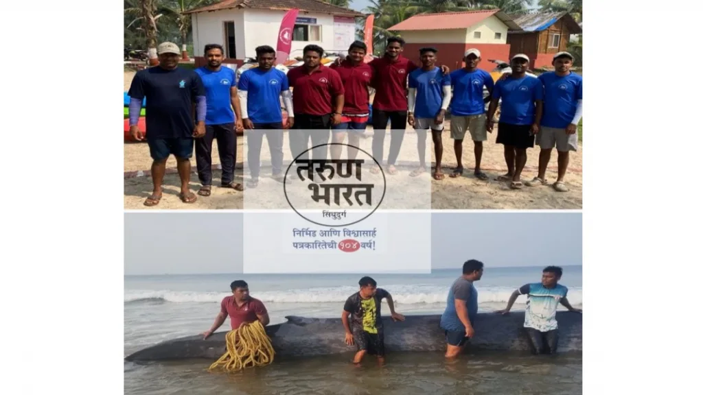 व्हेलच्या बचावकार्यात मालवणच्या युवकांनी दाखविली कर्तबगारी