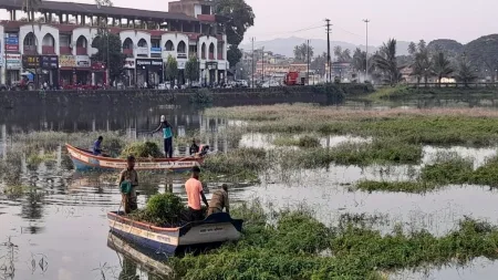 नगरपालिकेकडून मोती तलावातील जलपर्णी काढण्याचे काम सुरु