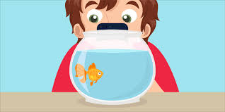 Mind blowing wind...