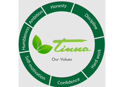 टिन्ना ट्रेड लिमिटेडने दिला दमदार परतावा Tinna Trade Limited gave strong returns