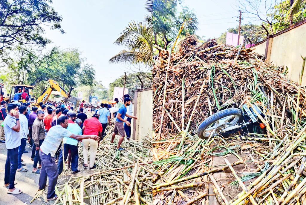 A truck full of sugarcane overturned