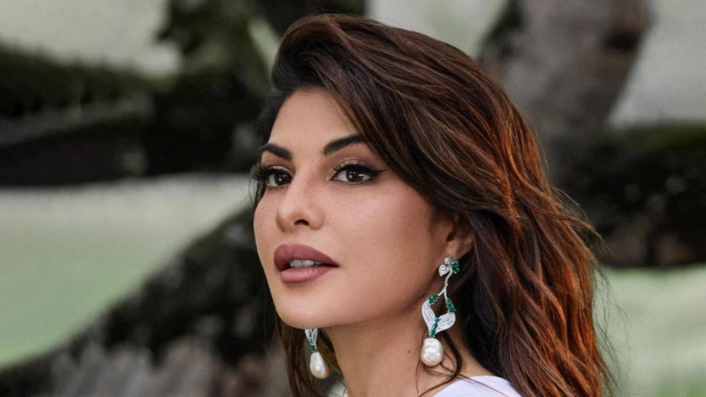 मनी लॉन्ड्रिंग प्रकरणी जॅकलीनला दिलासा Relief for Jacqueline in money laundering case