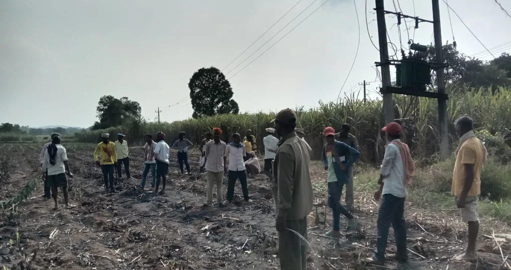 40 tonnes of sugarcane burnt due to short circuit at Chapgaon