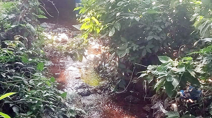 Oil tanks started flowing in the traditional canals of Matve Dabol