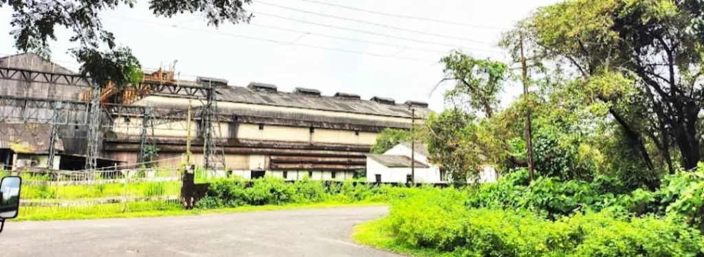 Sanjeevani's revival was delayed again