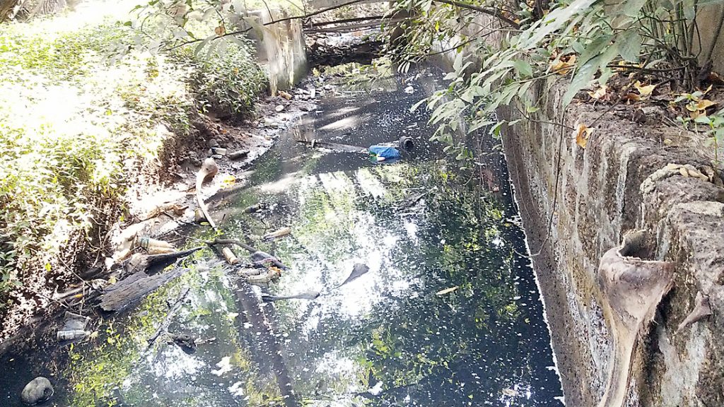 मोरजी पंचायत क्षेत्रात ओहोळ नाल्यामध्ये सांडपाणी Sewage in Ohol drain in Morji panchayat area