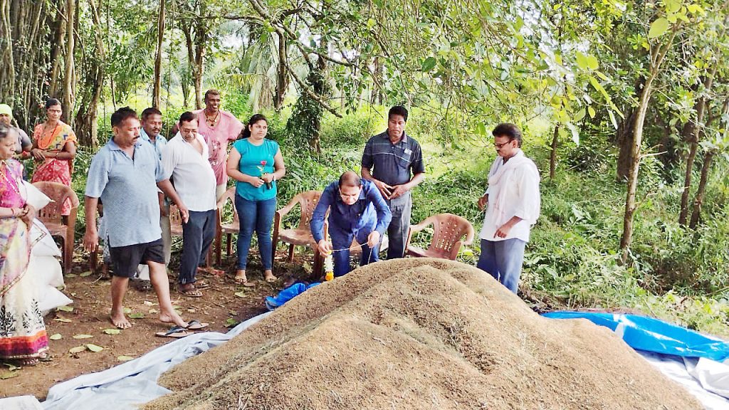 Abandoned agricultural land under re-cultivation at Panchwadi