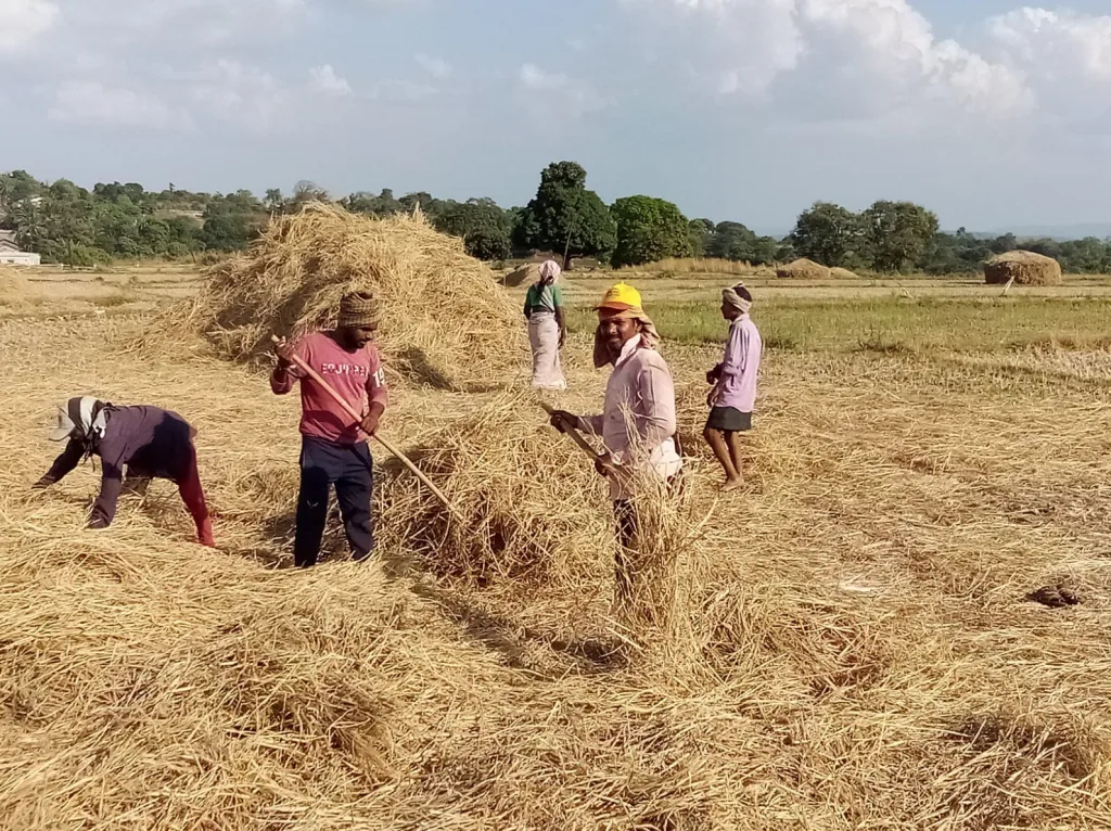 Sugi works in Jamboti area in final stage