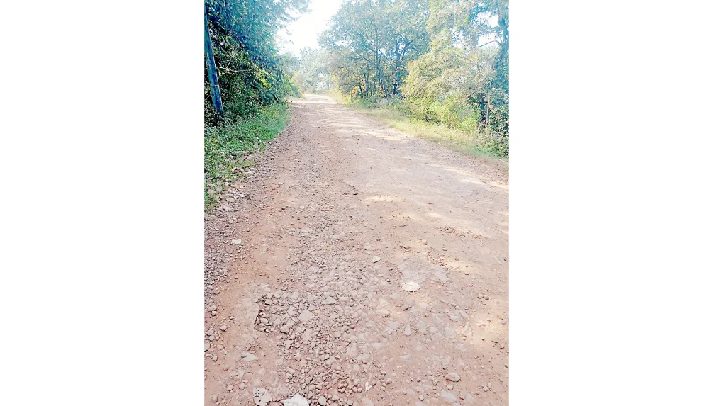 बाकनूर-इनाम बडस रस्त्याला वाली कोण? Who is the owner of Baknur-Inam Badas road?
