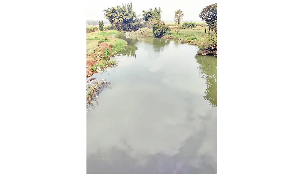 मार्कंडेय नदीच्या बंधाऱ्याला फळ्या घालूनही पाणीसाठा कमीच Even after laying planks on the dam of Markandeya river, the water storage is low