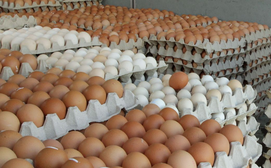 अंड्यांच्या वाढत्या किमतीमुळे अनुदान अन् खर्चात तफावत Variation in subsidy and expenditure due to rising cost of eggs