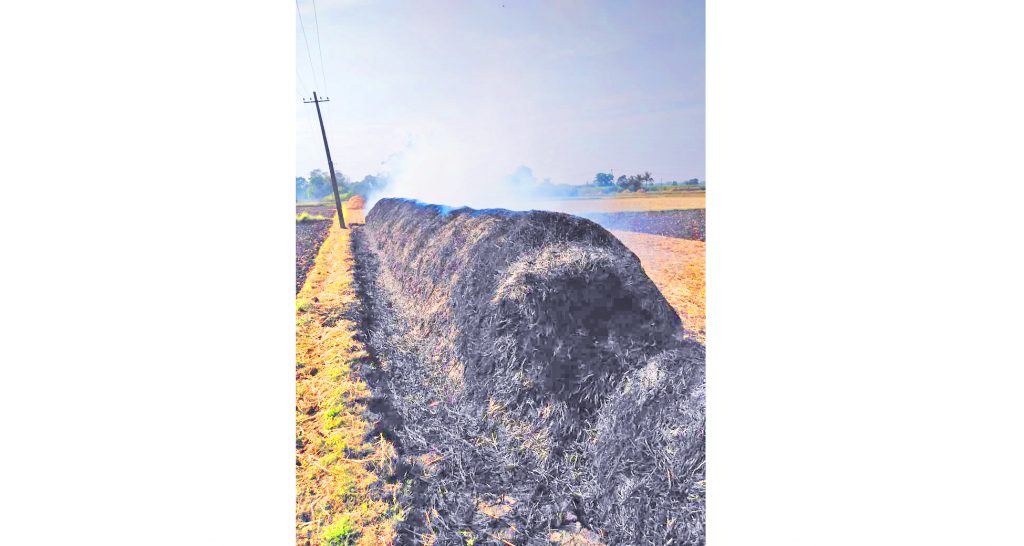 Goundwad destroyed by grass fire