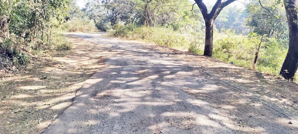 The patchwork of the Bijgarni-Kavlewadi road is a mere embellishment