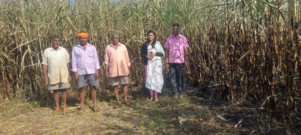 Sugarcane caught fire in Ambewadi after touching electricity wires