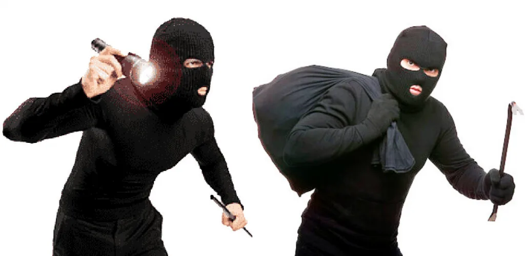 चोरावर मोर नव्हे चोरच ठरताहेत शिरजोर It is the thief, not the peacock, who falls on the thief