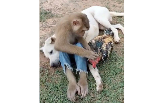 Such an unbreakable friendship