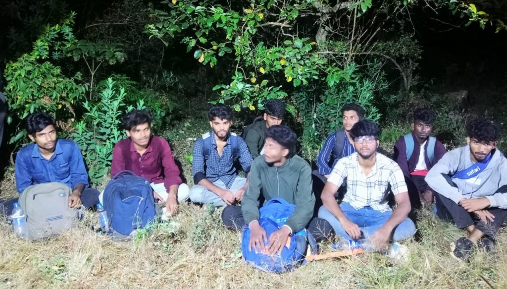 Went on a jungle safari... and got lost