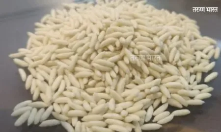 फोर्टीफाईड तांदळामुळे नागरिकांना मिळतो पोषणमूल्यांचा डोस! तांदळाबाबत हवी जनजागृती Fortified rice