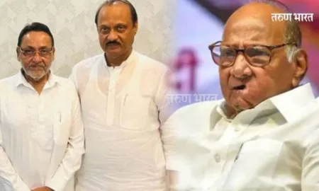 नवाब मलिक अजित पवार गटाबरोबर! शरद पवार गटाशी राखले अंतर