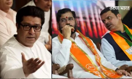 नवाब मलिक प्रकरणावर मनसेचा ‘मिर्ची’चा तडका; हिंदुत्वाच्या श्रीखंडात देशद्रोही… महायुतीला पटेल का ? अशी विचारणा MNS Nawab Malik BJP dilemma