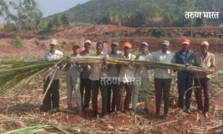 घनदाट जंगलात जिद्दीने फुलवला ऊसाचा मळा! गगनबावड्यातील धनगरवाड्यातील शेतकऱ्याची किमया Success Story Mhasurli Keel