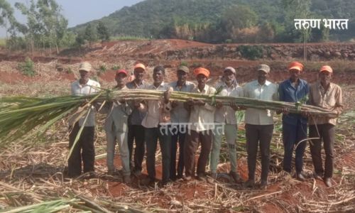 Success Story Mhasurli Keel