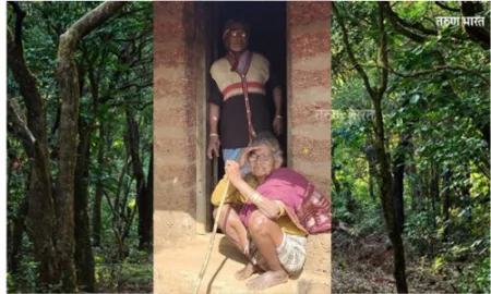 या दोघी आणि जंगल…! the forest Dajipur