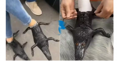 मगरीच्या आकाराचे शूज Crocodile shaped shoes
