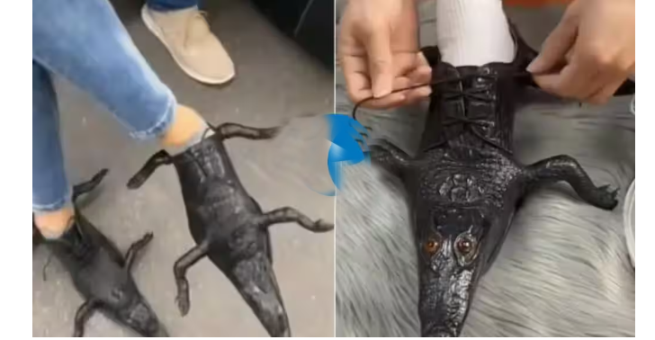 मगरीच्या आकाराचे शूज Crocodile shaped shoes