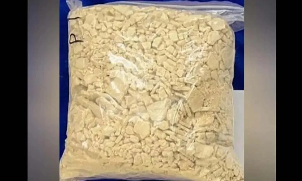 Cocaine worth 12 crore seized at Chennai airport