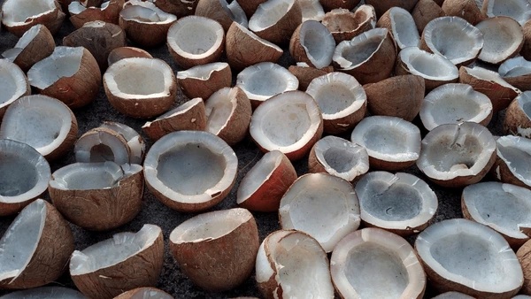 Now even coconuts have seen a huge price increase.