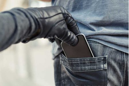 राज्योत्सव मिरवणुकीत मोबाईल चोरांचा धुमाकूळ Mobile phone thieves rampage during Rajyotsav procession