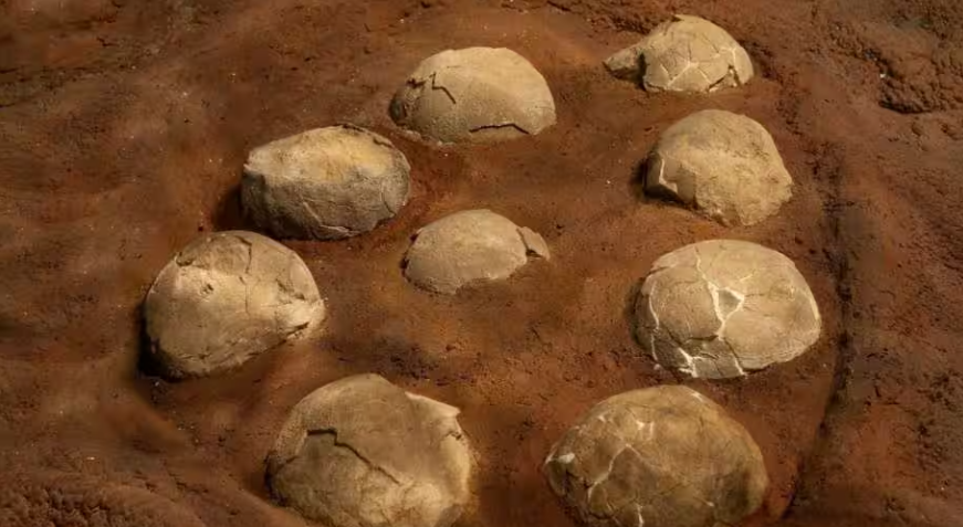 देवता म्हणून पूजलेला गोळा