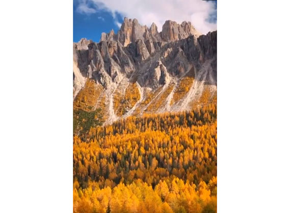 Mountain, how is your color?