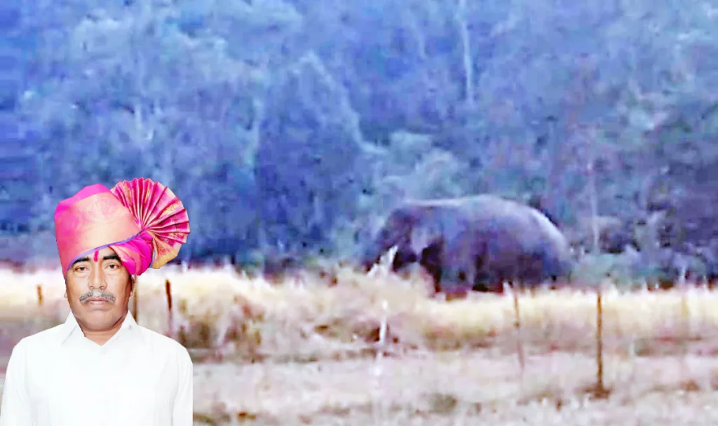 Damage from wild animals: MLAs should raise their voice in the session