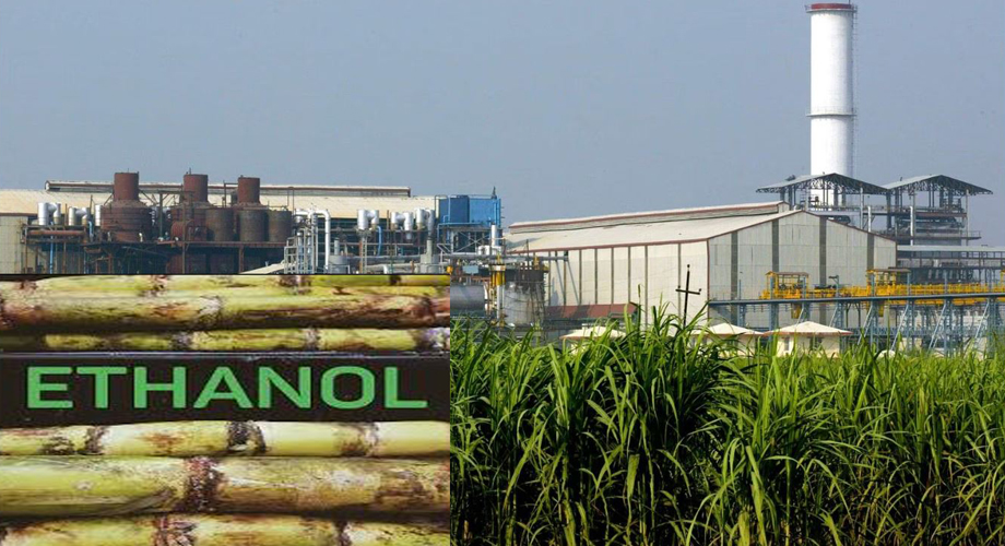 आधी साखर, मग इथेनॉल! First sugar, then ethanol!