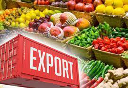 Agricultural exports will remain the same as last year