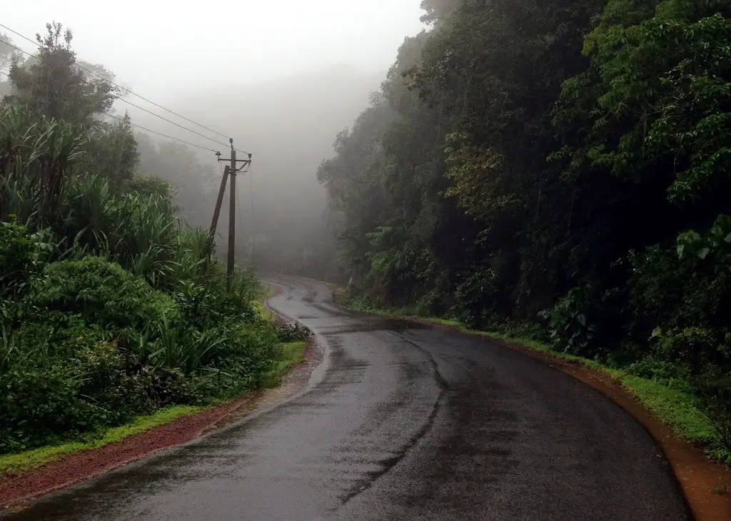 Nitin Gadkari will present the problem regarding the Belgaum-Goa road today