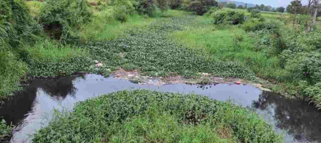 Tehsildar apathetic about survey of Ballari drain