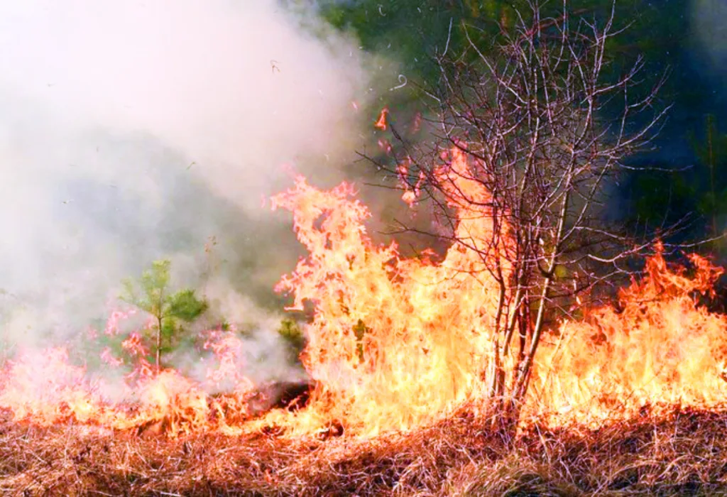 Incidents of fire should not be repeated..!