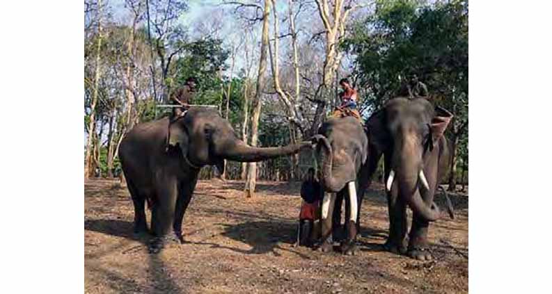 मॅन vs अॅनिमल Man vs Animal