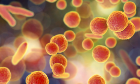 चीनमध्ये थैमान घालणाऱ्या विषाणूची दिल्लीत एंट्री? जाणून घ्या काय म्हणाले केंद्र सरकार The entry of the virus that is lingering in China in Delhi?