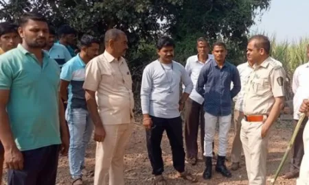 वंदूर मध्ये बिबट्याचे दर्शन;शेतकरी व नागरिकांत भीतीचे वातावरण Leopard sightings in Vandoor