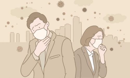 हवा प्रदूषणामुळे देशात एका वर्षाला २० लाखांहून अधिक जणांचा मृत्यू More than 2 million people die in the country every year due to air pollution