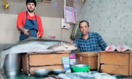 Crowd to see 25 kg Modusa fish