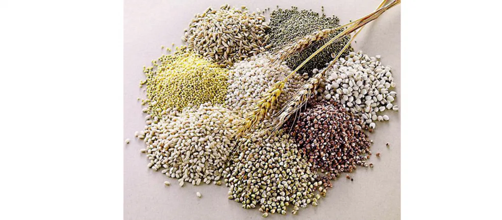 Common bread also became expensive