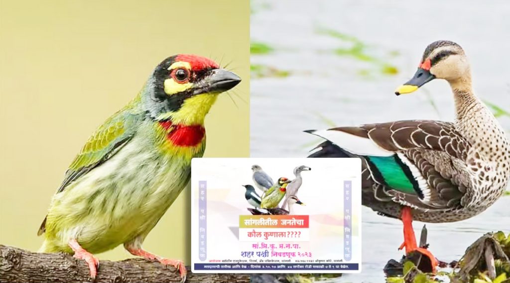 महाराष्ट्र पक्षीमित्र संमेलनाची चार दशके Four decades of Maharashtra Pakshimitra Samelan