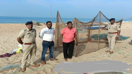 उभादांडा किनाऱ्यावर ऑलिव्ह रिडले कासवाचे घरटे संरक्षित