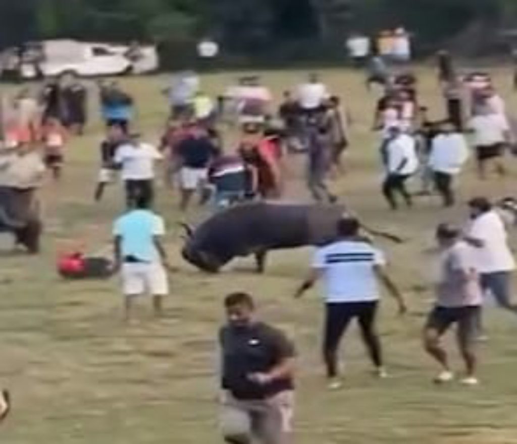 Forensic team exposes Dhiryo