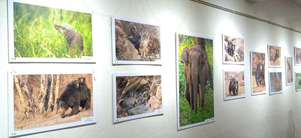 Today is the last day of wildlife photography exhibition